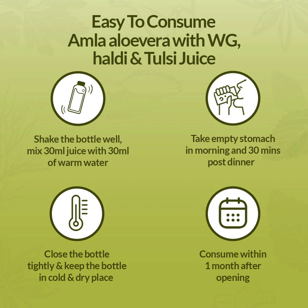 Amla Aloe Vera Wheat grass Haldi Tulsi Juice - Image 5
