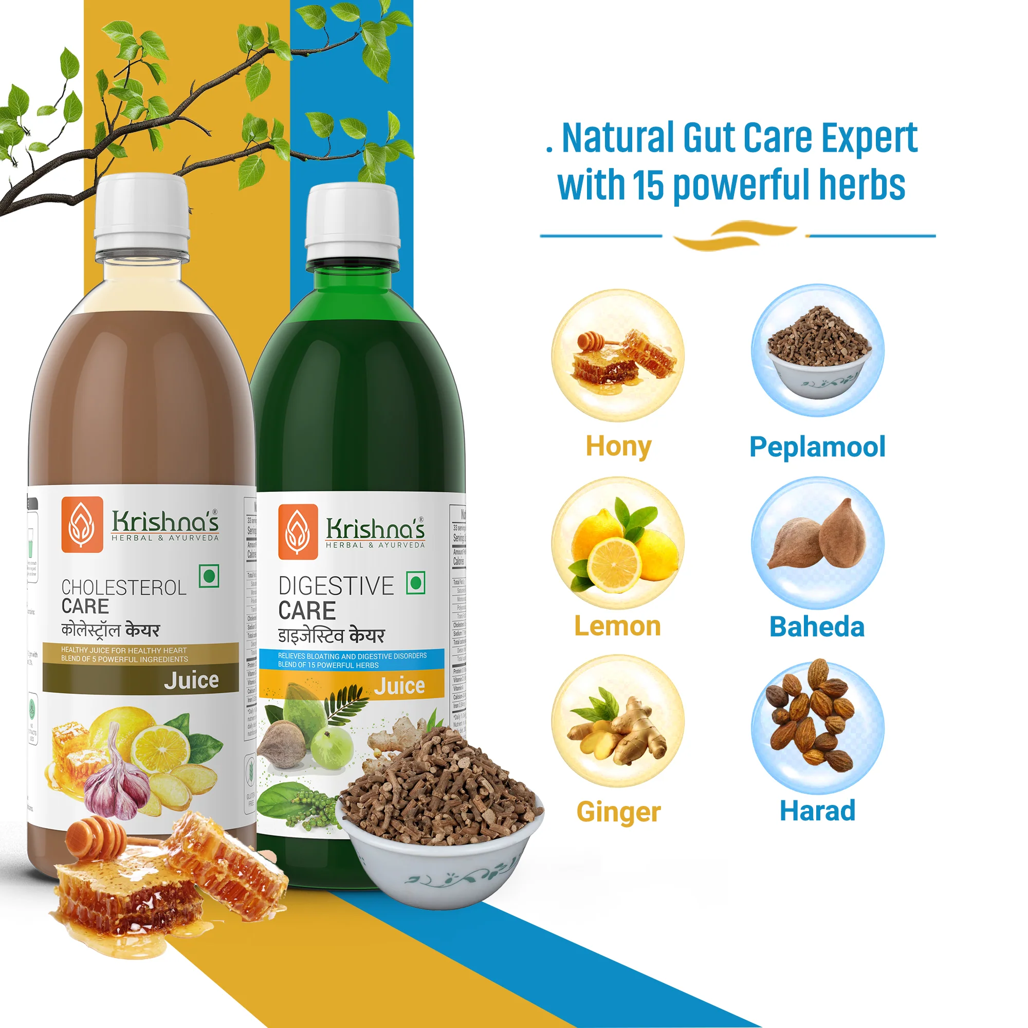 Digestive Care Juice 1000 ml | Cholesterol Care Juice 1000 ml - Image 2