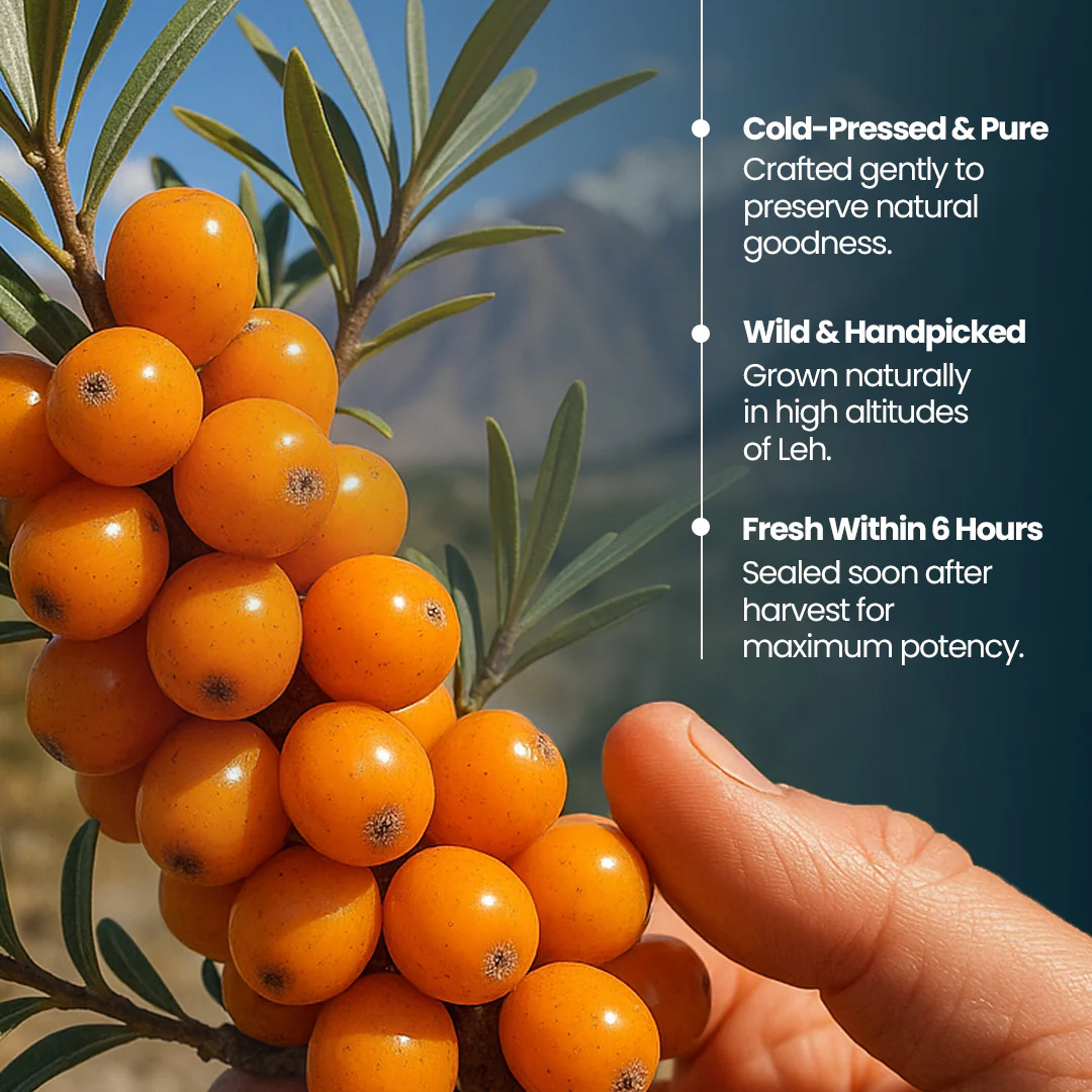 Sea Buckthorn Juice - Image 9