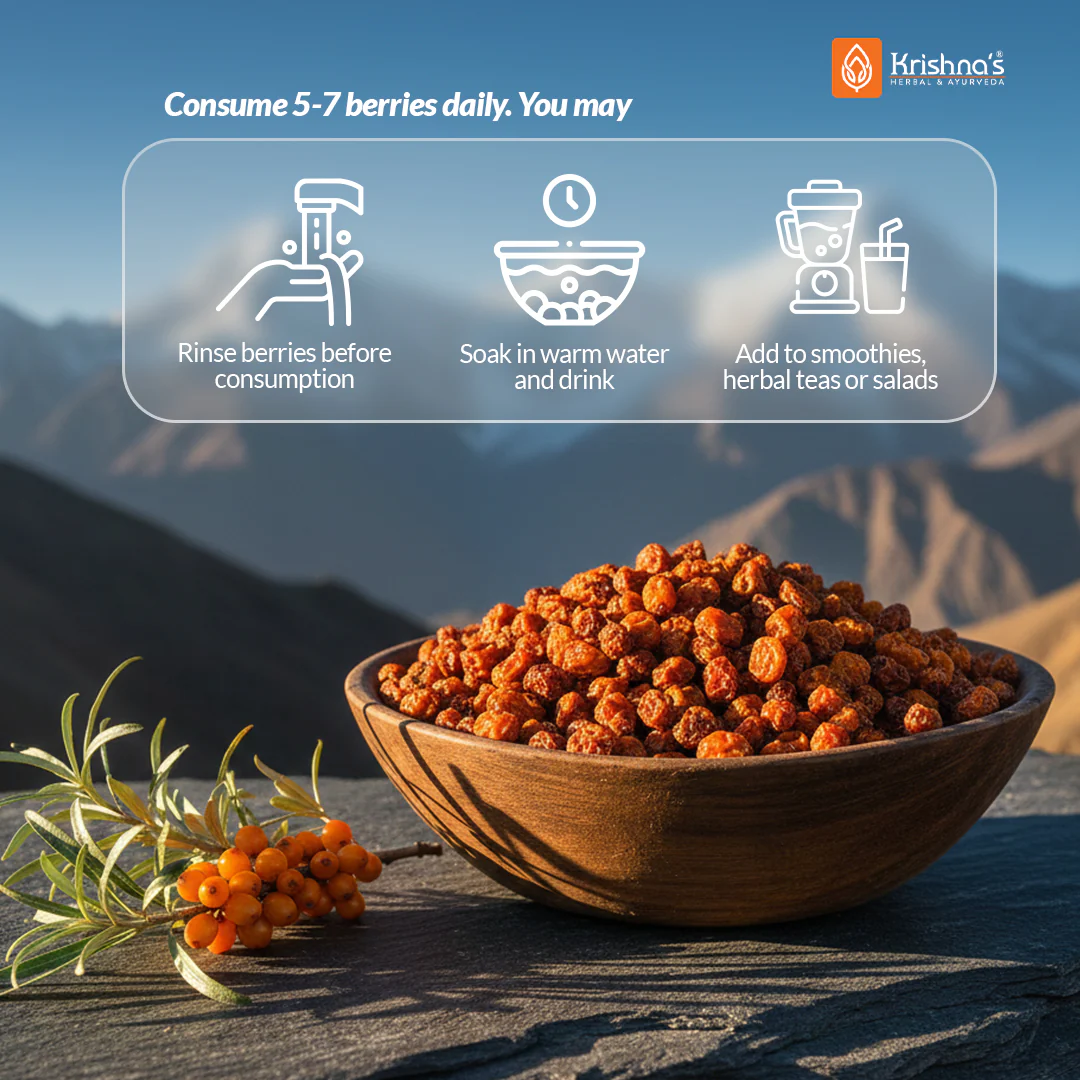 Seabuckthorn Dried Berries - Image 4